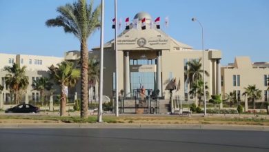 جامعة مصر للعلوم والتكنولوجيا