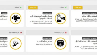 المنصة الموحدة لخدمات الكهرباء .. الرابط و 17 خدمة بينها 3 مُفعلة