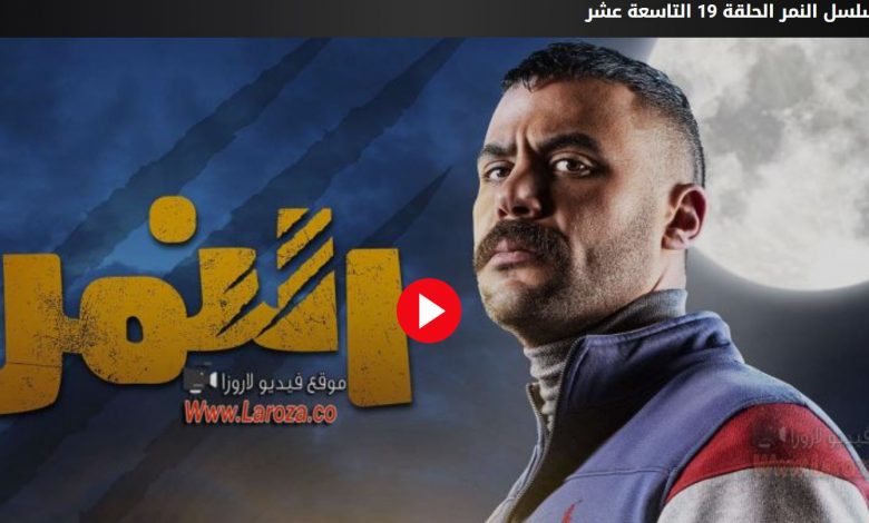 مشاهدة مسلسل النمر الحلقة 19 موقع لازورا