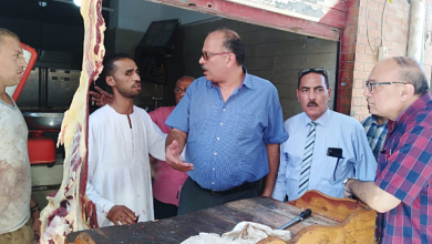 التنمية المحلية: ذبح الأضاحي في المجازر الحكومية مجانًا.. وغرامات على المخالفين