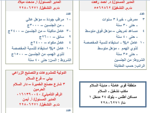 القوى العاملة: توفير 1668 فرصة عمل برواتب تصل إلي 5 آلاف جنيه.. منها لذوي الهمم والعزيمة