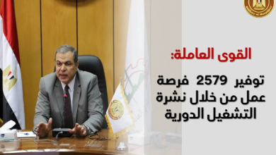 القوى العاملة: توفير 2579 فرصة عمل برواتب تصل إلى 7 آلاف جنيه.. منها لذوي الاحتياجات الخاصة