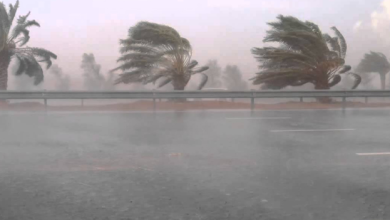 تعطيل الدراسة في عدد من المحافظات غداً لسوء الأحوال الجوية