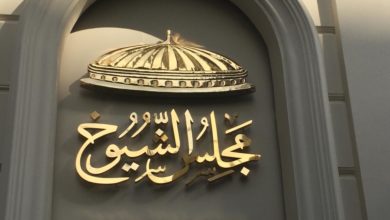 مجلس الشيوخ: إجازة الوضع 3 مرات وتخفيض ساعات العمل للأم