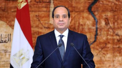 دينا هلالي: السيسي وفر الرعاية الكاملة لذوي الاحتياجات الخاصة