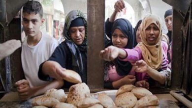 أسعار الخبز الحر في مصر .. صدور قرار مجلس الوزراء رسميًا