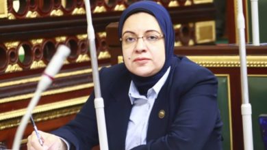 ذوي الإعاقة .. برلمانية تطالب وزير النقل بتأهيل المرافق والمحطات لأصحاب الهمم