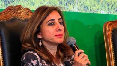 وزارة الاتصالات: الشبكة القومية لخدمات ذوي الإعاقة تسهل حياة أصحاب الهمم