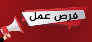 سعفان: توفير 1394 فرصة عمل بأجور تصل إلي 4 آلاف جنيه في 13 محافظة