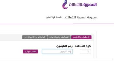سداد فاتورة الهاتف الأرضي .. موعد تطبيق غرامات التأخير