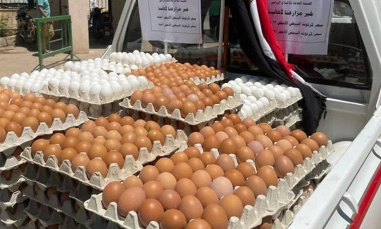 الزراعة: طرح كميات من البيض بالمنافذ الثابتة والمتحركة بسعر 58 جنيها للكرتونة