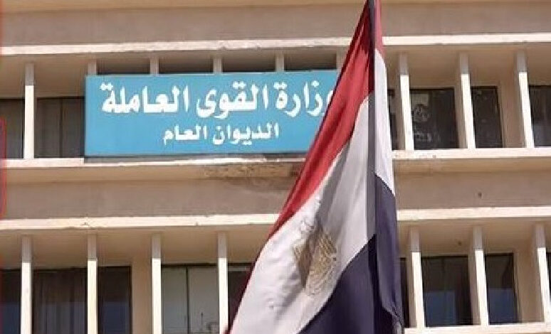 القوى العاملة: التدريب المهنى على 4 مهن يحتاجها سوق العمل بالأقصر