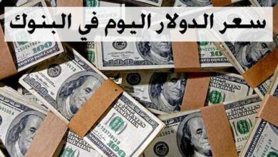 سعر الدولار والعملات الأجنبية اليوم في البنوك المصرية