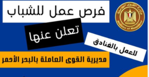 القوى العاملة: توفير فرص عمل جديدة للشباب بفنادق البحر الاحمر