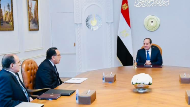 الرئيس السيسي يوجه بالإسراع في استكمال التغذية الكهربائية لمشروع "الدلتا الجديدة"