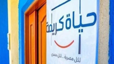 «القومى للإعاقة»: مشروع حياة كريمة يراعي إتاحة الخدمات لذوي الاحتياجات الخاصة