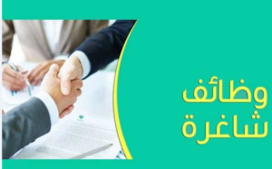 برواتب مجزية.. فرص عمل لذوى الإعاقة بالقاهرة وتأمين اجتماعي وصحي