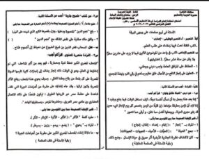 تحميل نماذج اجابات امتحان العربي تالته اعدادي 2023 القاهرة الترم الثاني