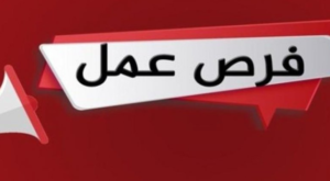 وظائف خالية في 16 محافظة.. منها لذوى الإعاقة (طرق التقديم)