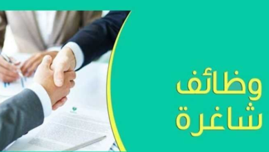 100 فرصة عمل لذوى الإعاقة بمجموعة مطاعم بالقاهرة والجيزة