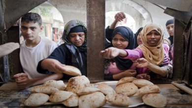 بشأن رغيف الخبز والدقيق والسلع الغذائية.. قرارات وزير التموين اليوم