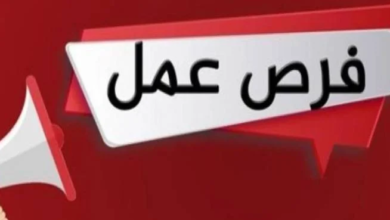 فرص عمل لشباب الاسماعيلية.. المستندات المطلوبة للتقديم