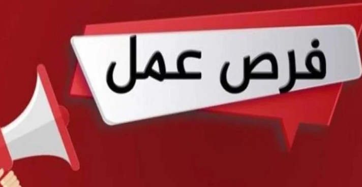 فرص عمل لشباب الاسماعيلية.. المستندات المطلوبة للتقديم