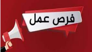 4352 فرصة عمل في 10 محافظات منها لذوي الهمم (تفاصيل)
