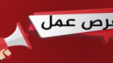 3212 فرصة عمل تضم ذوي الهمم في 38 شركة خاصة بــ 9  محافظات (تفاصيل)