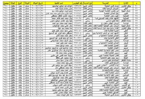 أوائل الشهادة الاعدادية 2024 محافظة الجيزة الترم الثاني