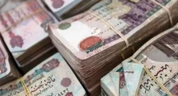 شروط قرض بنك ناصر للمشروعات متناهية الصغر