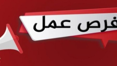 3537 فُرصة عمل جديدة تضم ذوي الهمم في 48 شركة خاصة تنتظر شباب 15 مُحافظة (التفاصيل)