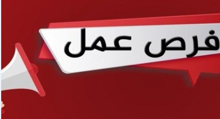 3537 فُرصة عمل جديدة تضم ذوي الهمم في 48 شركة خاصة تنتظر شباب 15 مُحافظة (التفاصيل)