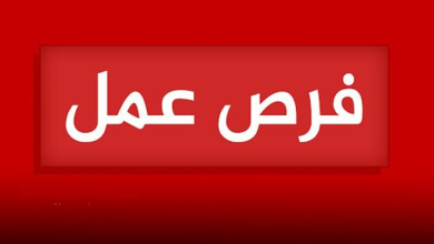 فرص عمل لشباب السويس للعمل فى شركات بالقطاع الخاص (المؤهلات والتخصصات)