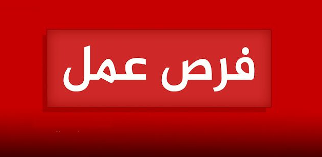 فرص عمل لشباب السويس للعمل فى شركات بالقطاع الخاص (المؤهلات والتخصصات)