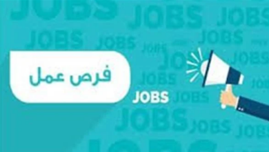4424 فرصة عمل جديدة تضم ذوي الهمم بـ 12 محافظة (تفاصيل)