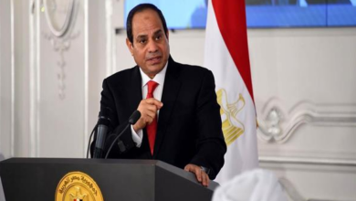 الرئيس يوجه بمد الحماية الاجتماعية إلى العمالة غير المنتظمة وصرف إعانات عند الوفاة