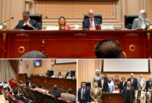 زيادة مخصصات القومي لذوي الإعاقة للعام المالي الجديد إلى 28 مليون جنيه