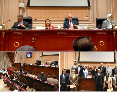 زيادة مخصصات القومي لذوي الإعاقة للعام المالي الجديد إلى 28 مليون جنيه