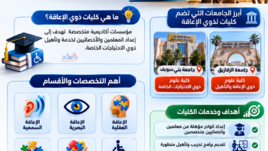 كليات ذوي الإعاقة في مصر